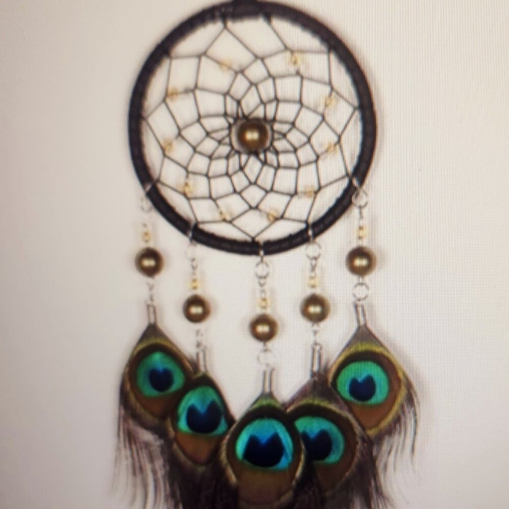 B'ful Peacock feathers - 24 pk Great on their own or use in jewellry making etc